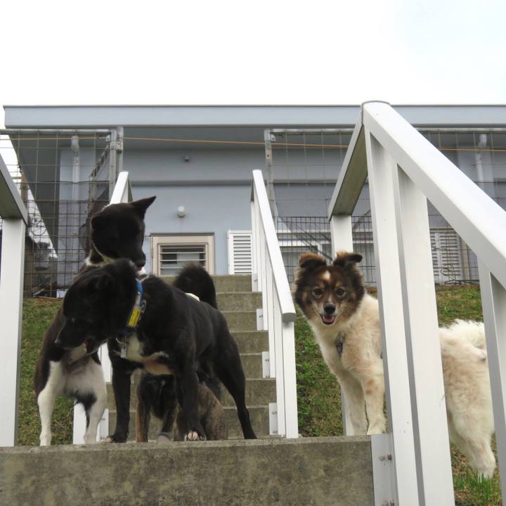 945308a5 1a14 41fd 980b 2624e34c250f 1585748483364