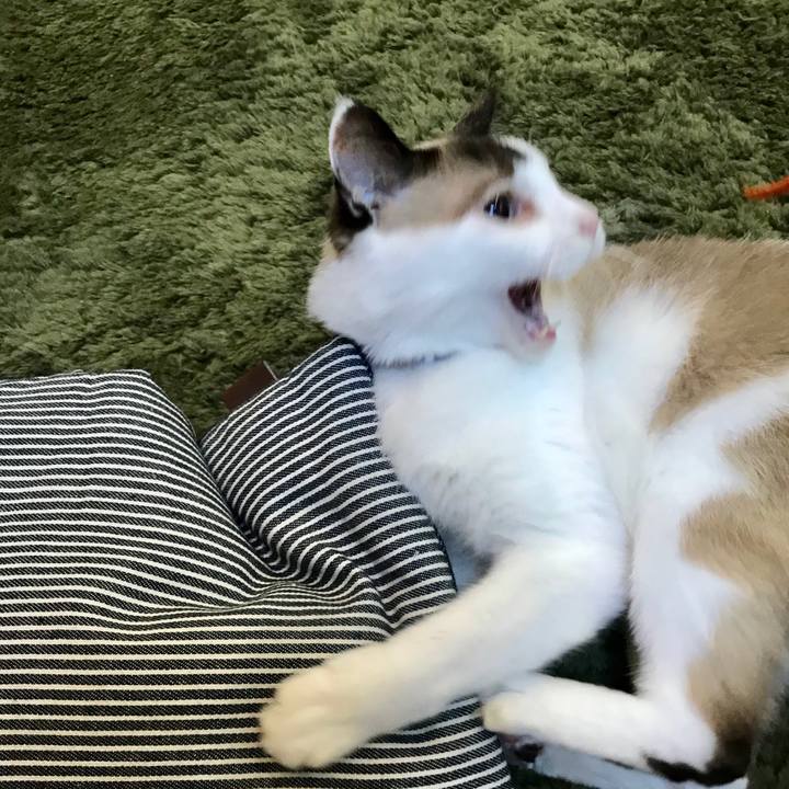 94535fe4 c1c1 4615 9f5d 52d6b0198ef8 1601097642669