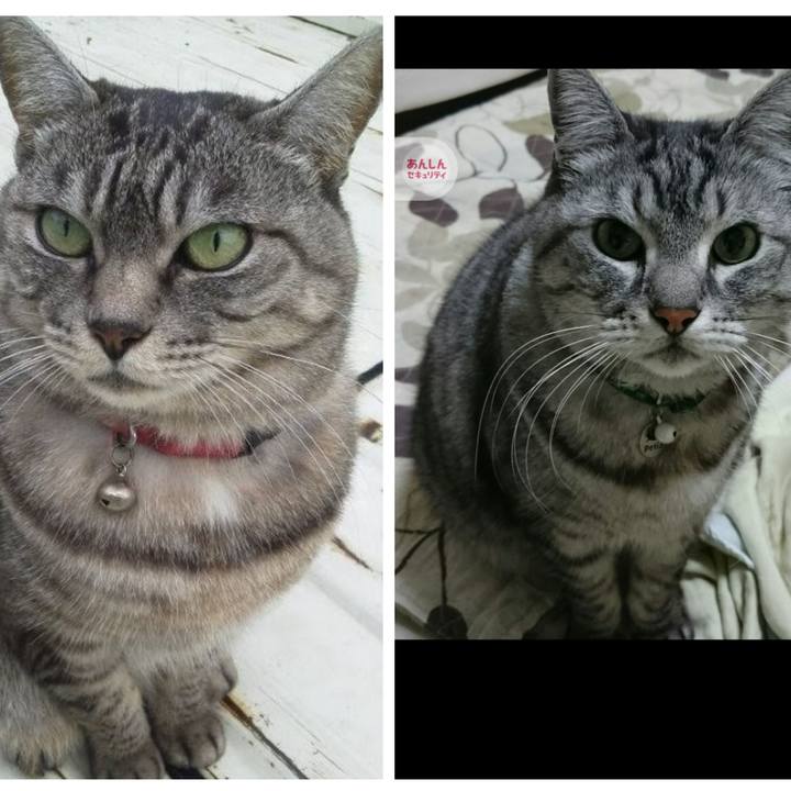 9453642e 8310 426d a973 4e70d1465e8f 1705378319745