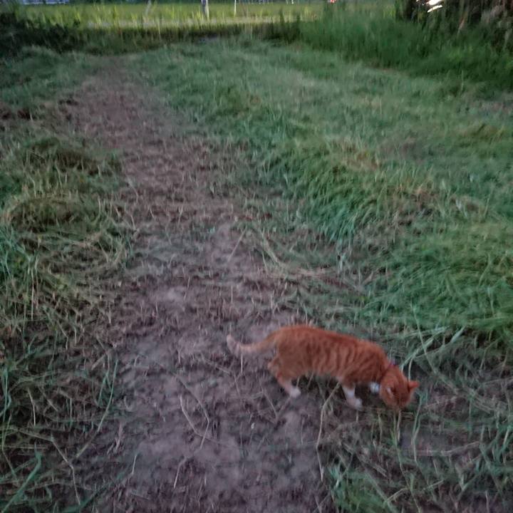 945364fe 245e 4f21 9d8d ef58e29c9615 1565863720747