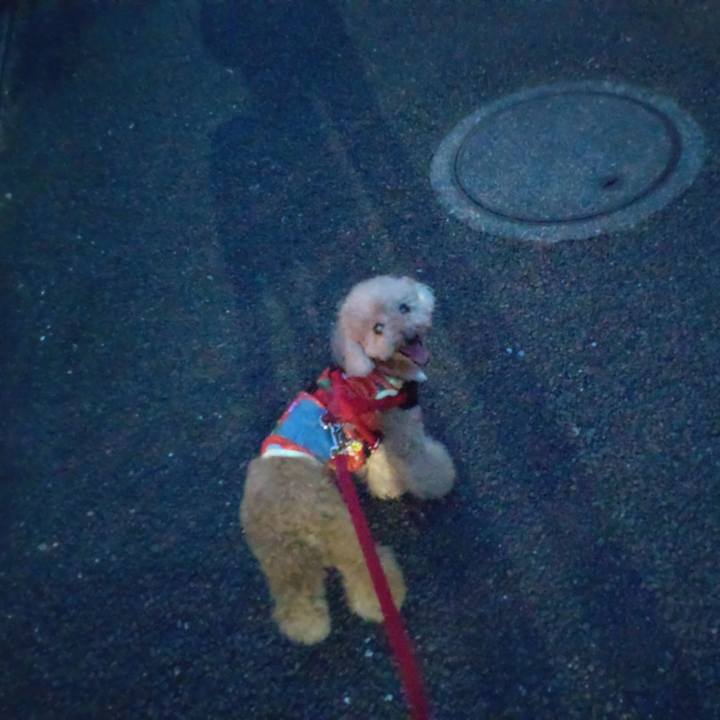 94537bc5 0129 49f3 b157 76ff822a6a4d 1660214251288