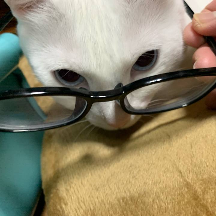 9453b67e 5bd1 4cc3 8706 cc70c0f2e176 1574088231883