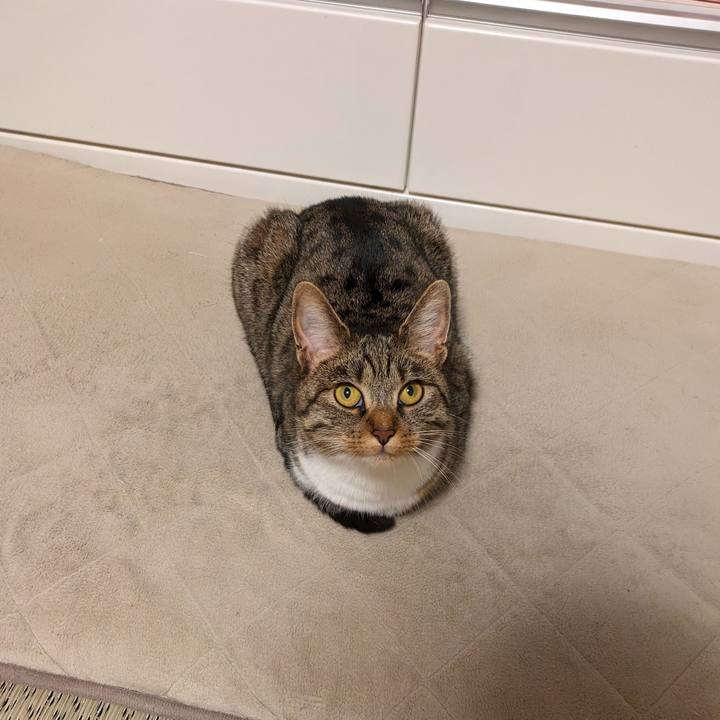 9453e338 573b 4f9e a902 b063d9470567 1687519892436