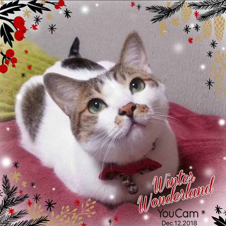 9453fbe2 7efb 46c1 acd1 c1141fe1ba68 1544585793969