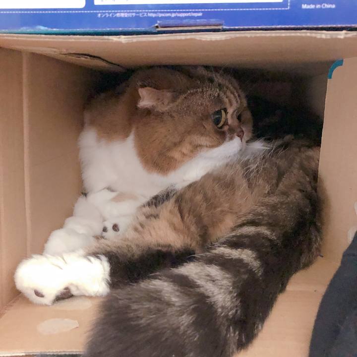 945408f9 0cb6 4cc5 931b f8004e35d222 1554538643231