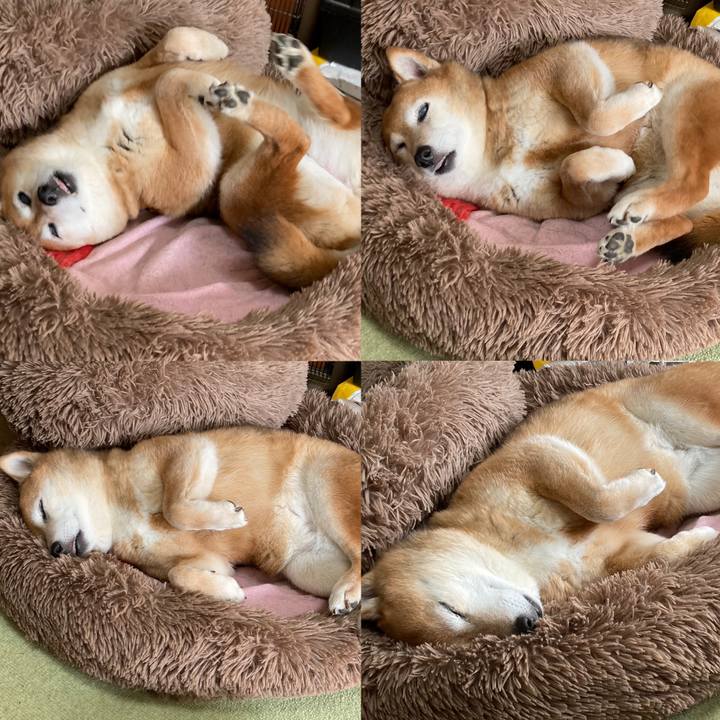 9454166d aa07 4000 b649 6721b1b0d3fc 1681127817195