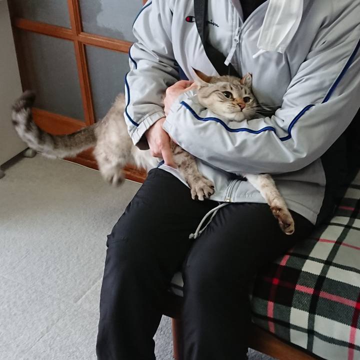 94542698 9950 492f ac09 5bb8e8a5b186 1611640759141