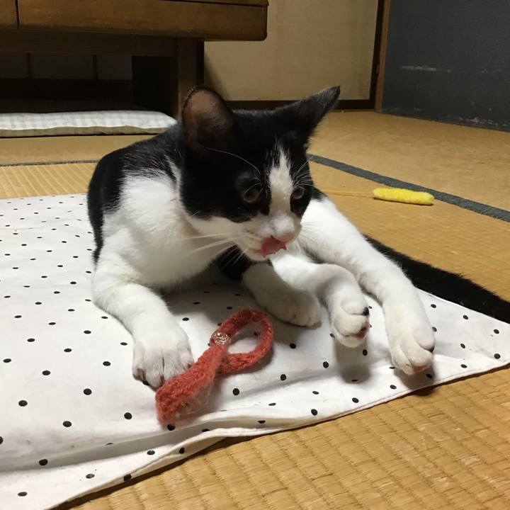 94545f4f e9c3 4bc6 99b5 c7db8400bb0c 1630059649730