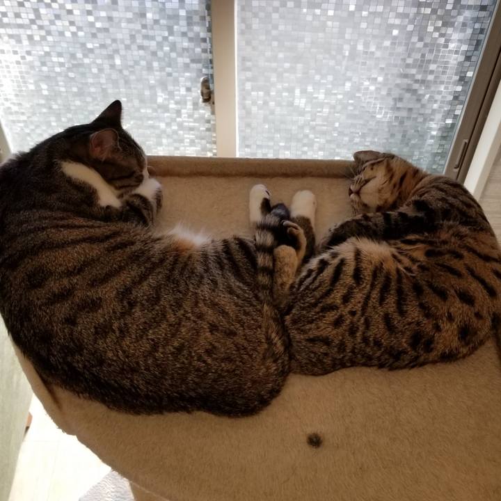 9454824c e65d 4e30 b477 8c4b5f4ad37d 1547352057748