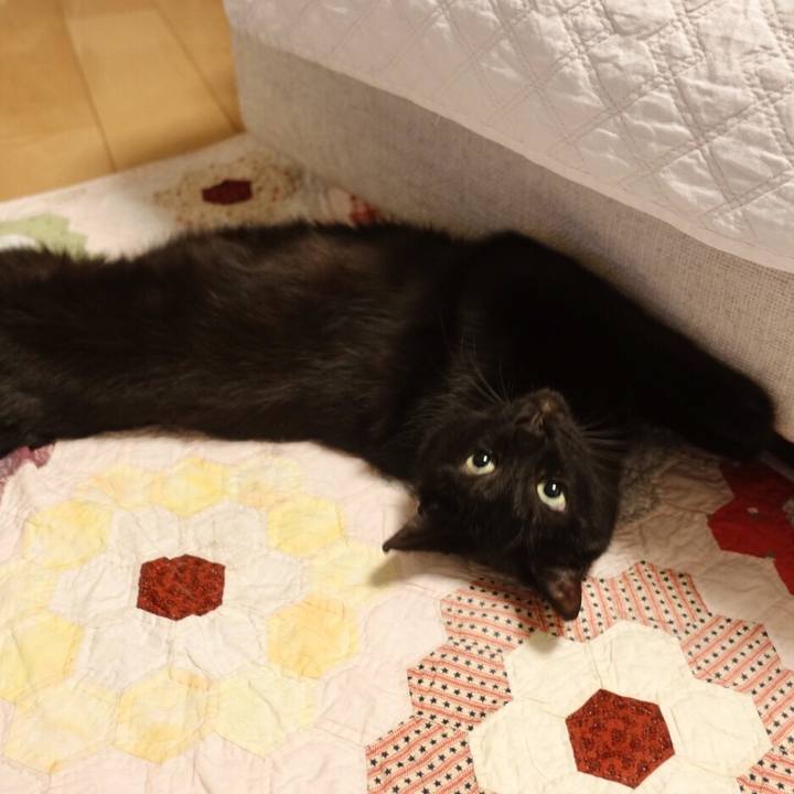 94549ea4 8252 4378 ae37 8453b99bbc2c 1543763164206