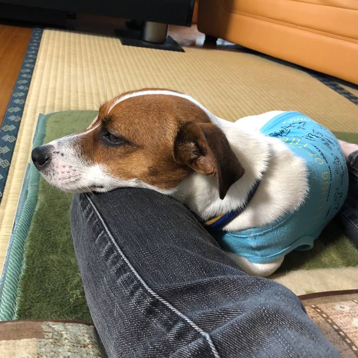 9454e276 1b94 4566 9420 ea87cd1dab7b 1530830613736