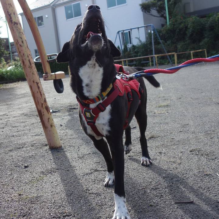 9454e4b4 85dc 43e1 abe4 0f259e4a7f6b 1602461115994