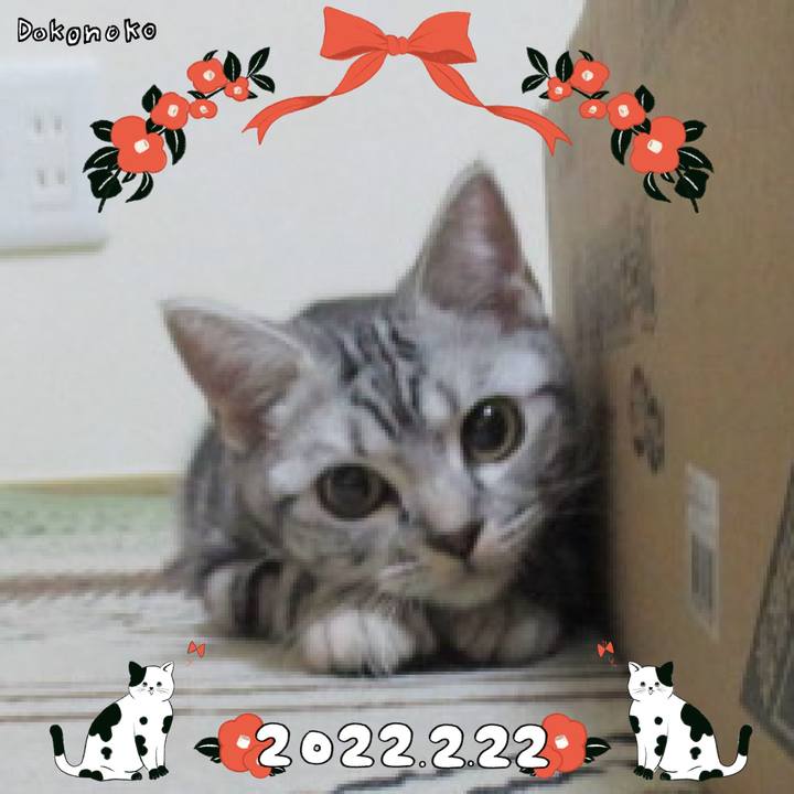 9454eb24 78df 4ef6 9fa9 f4b2d4b257d0 1645527188550