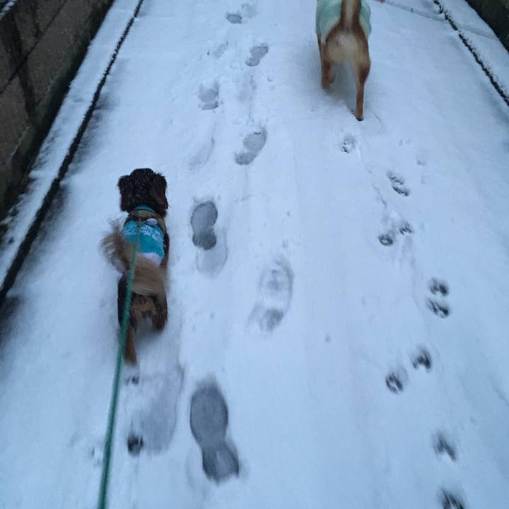 945535a1 e92f 471f a367 ea7c9739c4b5 1516609403249