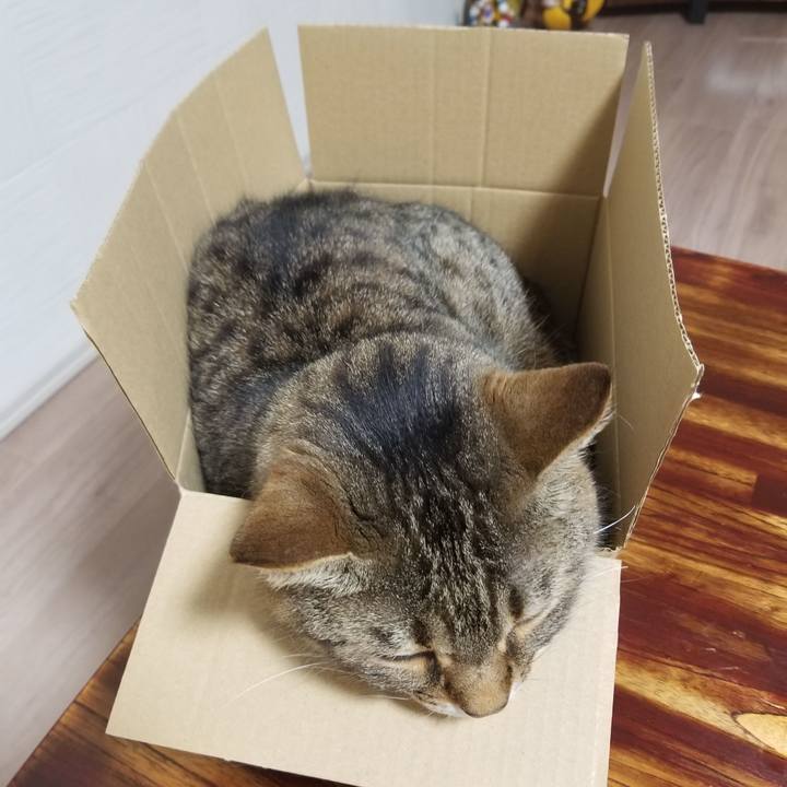 94553faa 04d3 4e91 9202 9e2b9ba40ebc 1621335376260