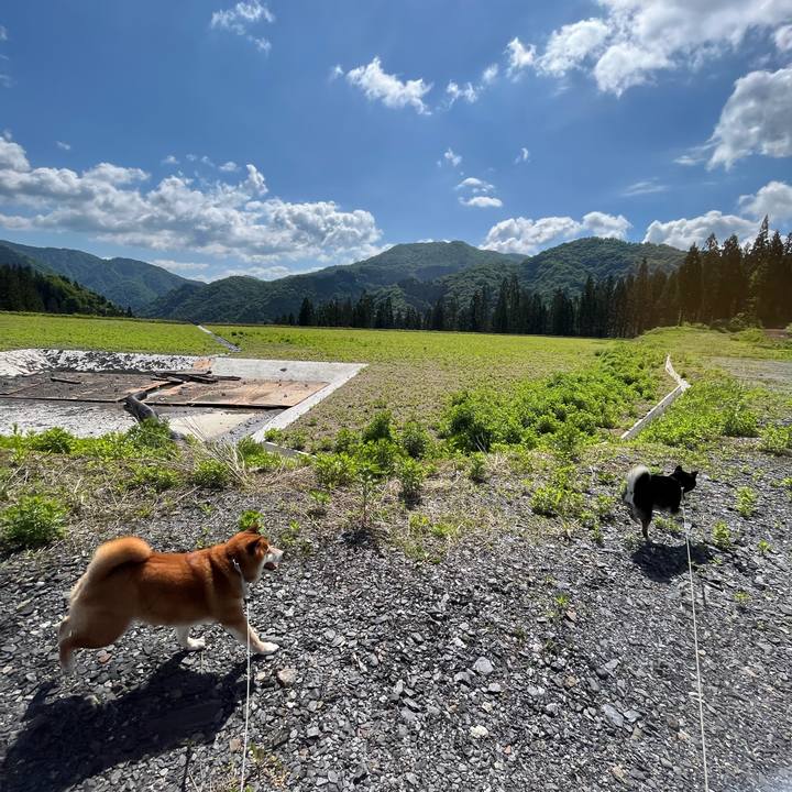 94556155 df7b 4ba1 807f 2f5164760310 1653739998932