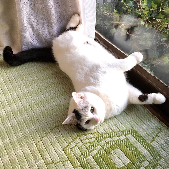 9455784d 93de 4dce 9186 6fffed4f91b1 1578971772586