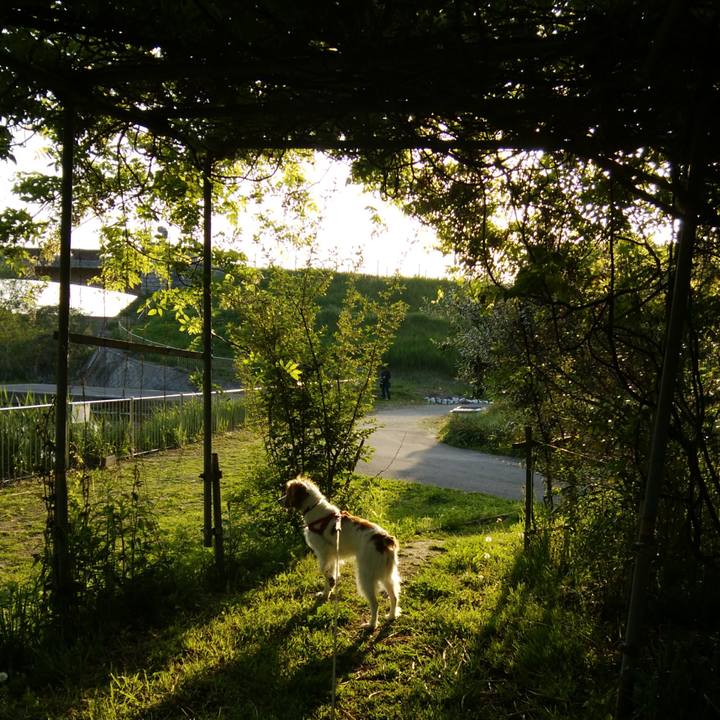 94559ac0 c181 4914 b0ae d664fe186689 1524310024753