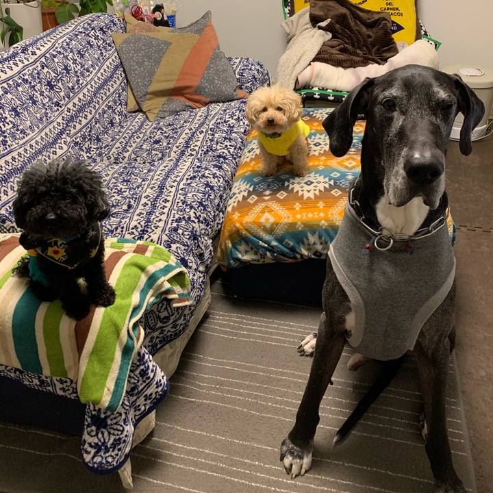 9455ab60 a6a3 431f bbdb fa0adbaf6bc9 1582670532964