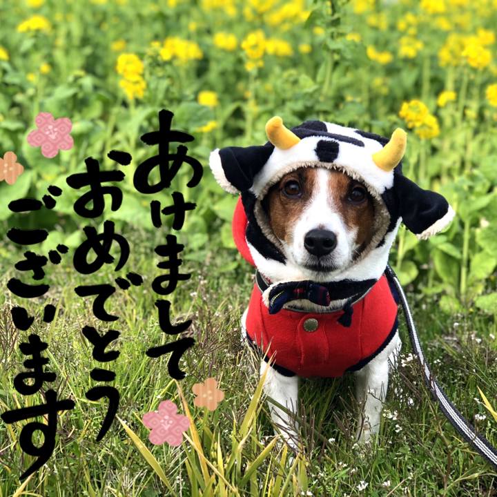 9455fb1a 61c5 4f58 bff0 f1578f935f96 1609465688503