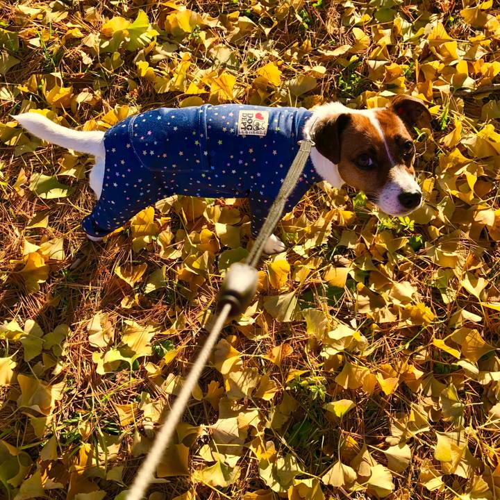 94561d9c ea44 4d57 bca8 e59342caa651 1573545329158