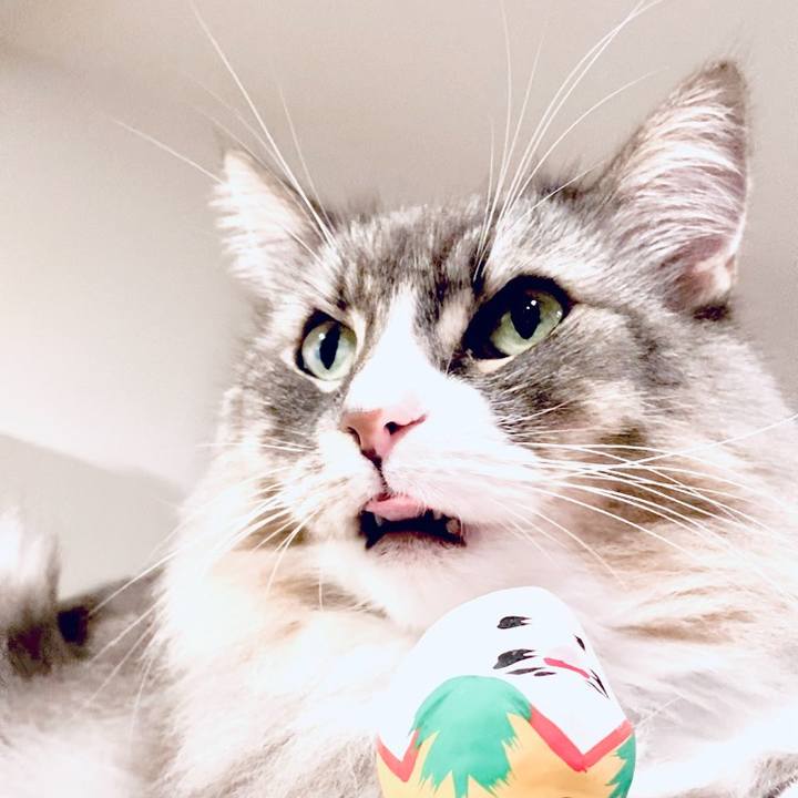 94566d83 a62d 4621 ba26 972c89fb5136 1764084272111