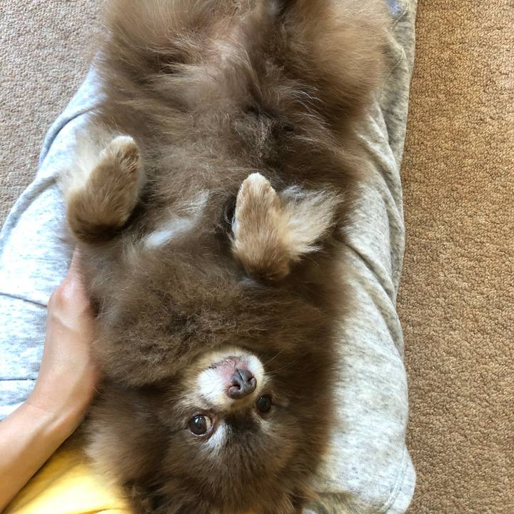 94567cb8 3936 43f5 b2f2 584ce0f1f197 1624600043155