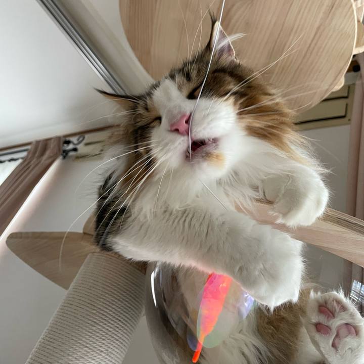 94567d28 0246 4e47 8780 0634d3341b89 1657271661198