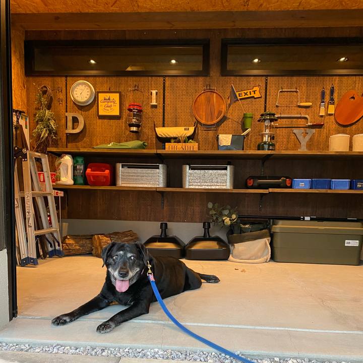 94568543 0ae5 4a12 b666 8ba71871cebd 1667569878760