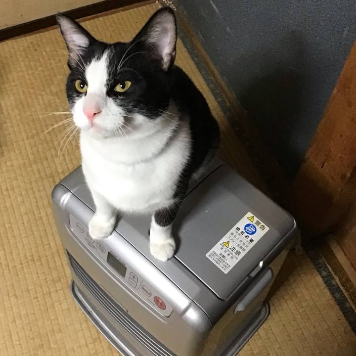 9456a93a 3611 4768 88ff 2d2cb6be4ab4 1636624938207