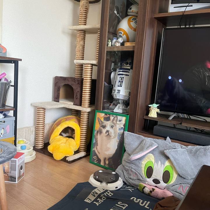 9456aac6 2acd 4dc9 b2aa fd4fa1148ec1 1743742386529