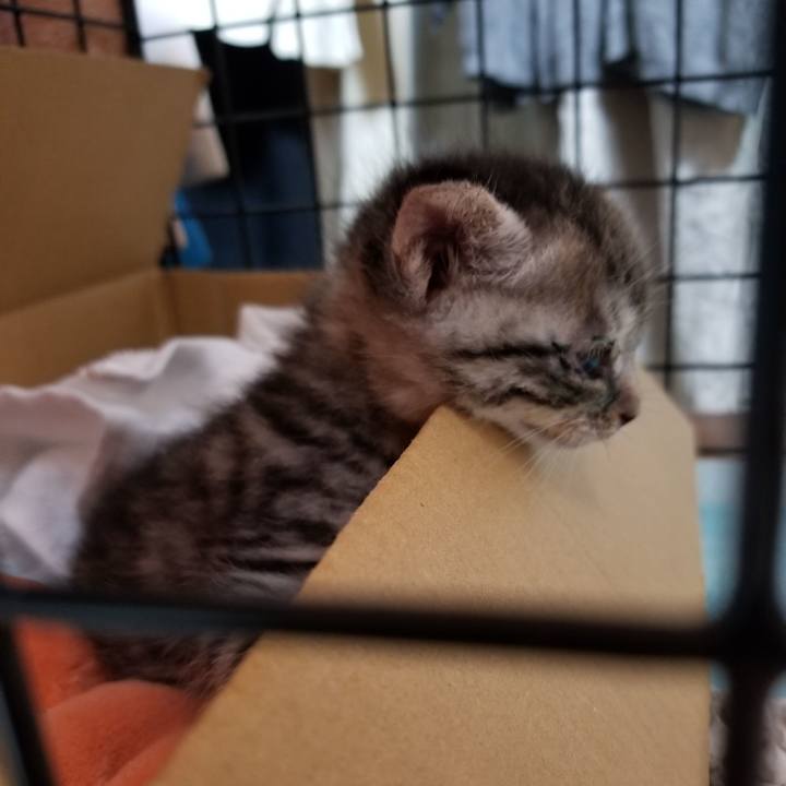 9456baa0 1f8e 4bb6 9178 302482286d8f 1660145452536