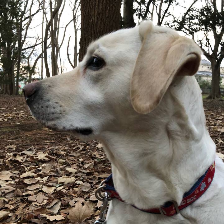 945744f2 8c3b 4b31 affa a094cc149d11 1578915110081