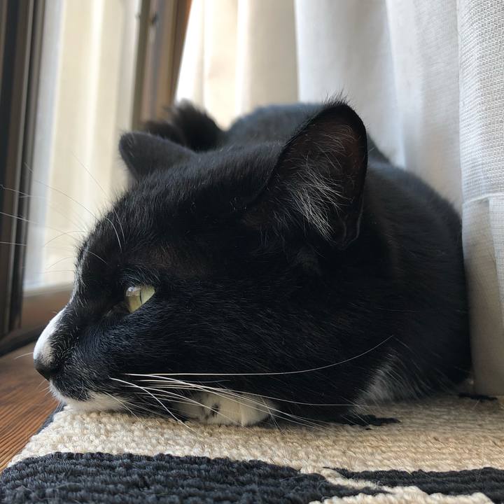 9457475c a1f5 453e 8ff9 2210e8df9d79 1554176710200