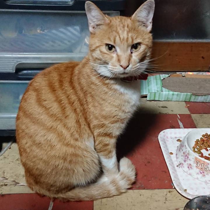 9457986c 1a98 48c5 acc0 1d632259cb13 1572040119611