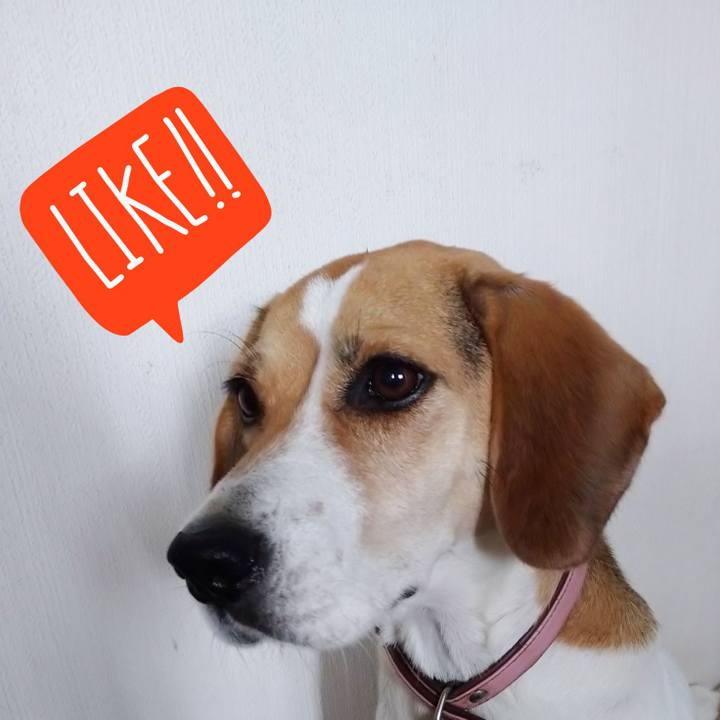 9457995c 2172 41b0 b8c5 d258a8e78da1 1601801445777