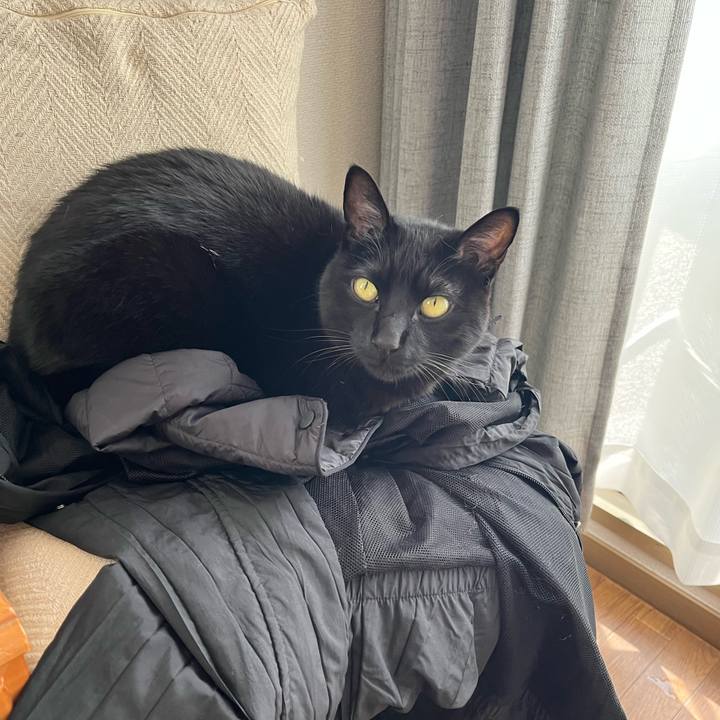 94579fb2 7392 42f4 a566 872d9a602037 1676777213592