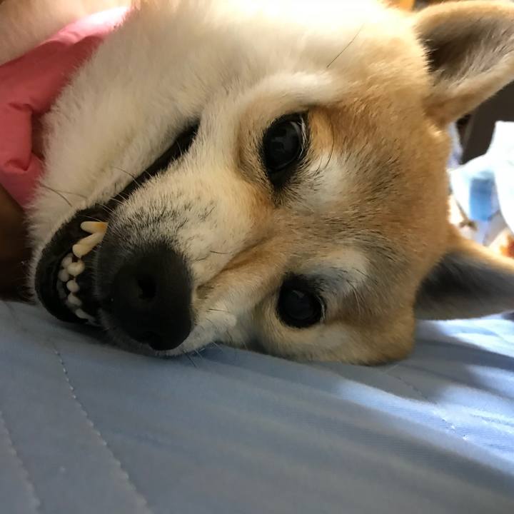 9457e827 f880 447e a471 15b4e93cc500 1530960425596