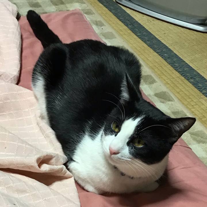 9457fa9b fae5 4d07 b580 b637d692b0d2 1643622314660