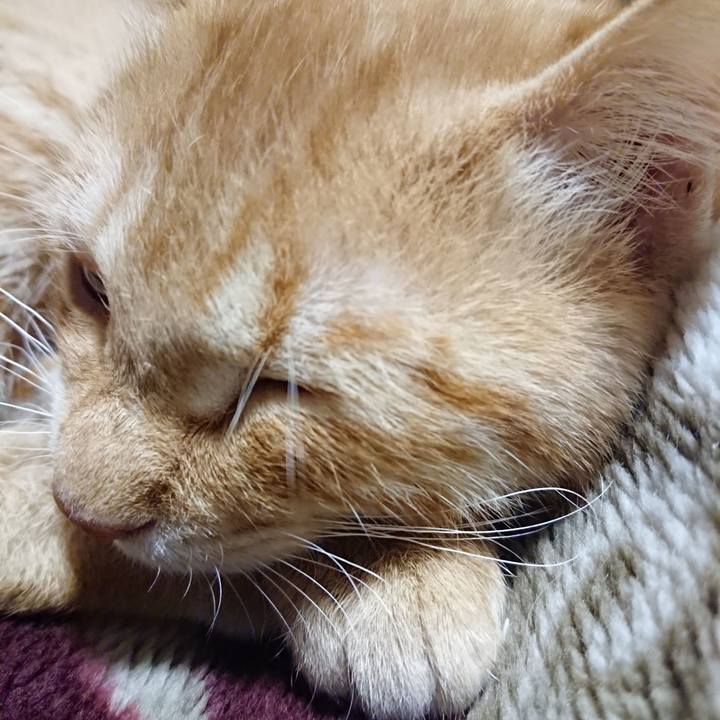 94581ae8 6ad9 4aff 8251 47272595a022 1635165113119