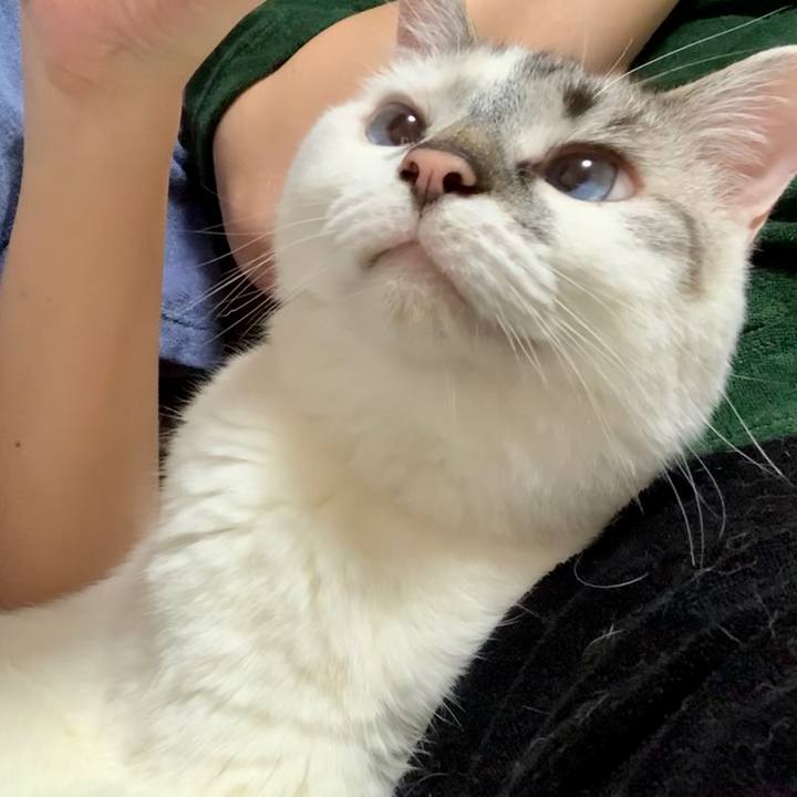 945829b2 8637 41b3 8ac1 b6ebeb4e5fc5 1592575759075