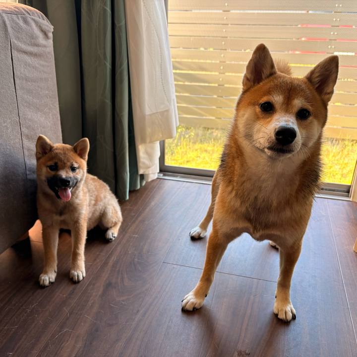 9458320b e41b 44f6 bba3 fb540427764c 1761965589573