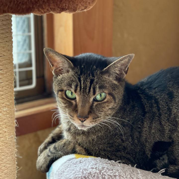 94585c37 aad4 4e90 a4e4 83ab2146ac3f 1617500527945