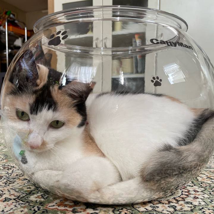 94585fd8 1167 4bf8 8fdc 2cac6237d3ee 1722122321236