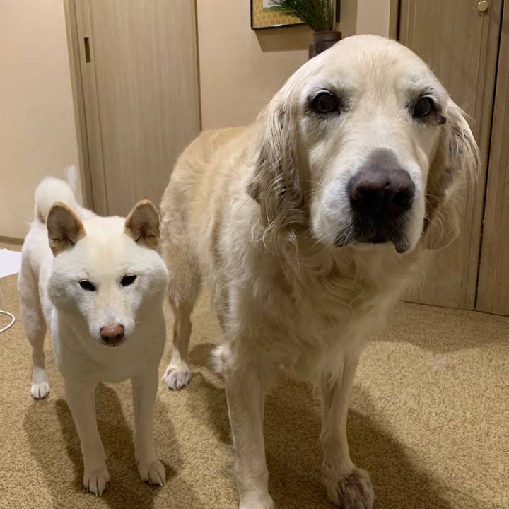 94586e57 7ba1 41fc b8fe 13e4f3016a1b 1550615140575