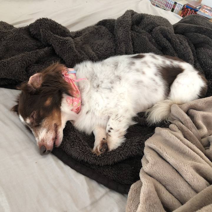 945873c5 3bd6 4cbf 949f 7a84804ad573 1553407903976