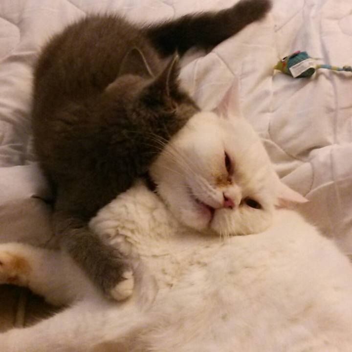 94589794 5b5a 413f 842c 1dab073bd931 1531698512150