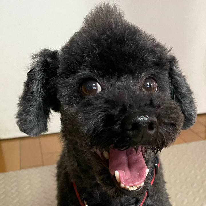 9458b3b7 a184 4c10 85a2 04117996a473 1722056883621