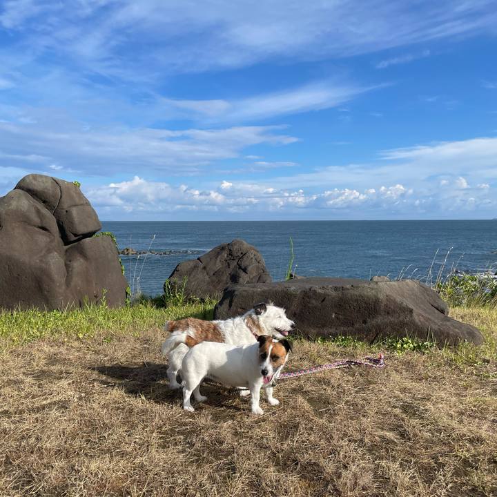 9458b5f2 402b 4b69 9cb2 352fc874782b 1754694554478