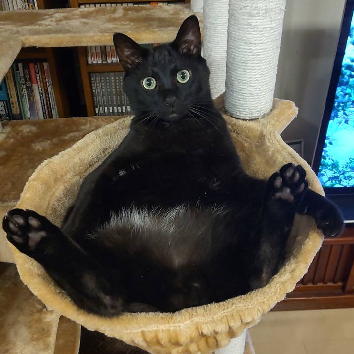 9458c1f9 55f9 4945 9620 788d80fbef22 1619881880349